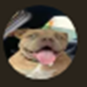 Foto de perfil de rafael