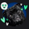 Foto de perfil de vesgo